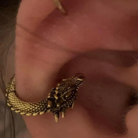 Women Hypoallergenic Stainless Steel Stud Huggie Personalized Dragon  Earrings - Picture 1 of 9